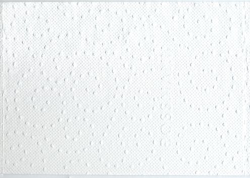Ein Blatt dieses Papiers