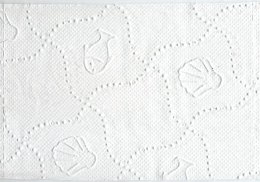 Ein Blatt dieses Papiers