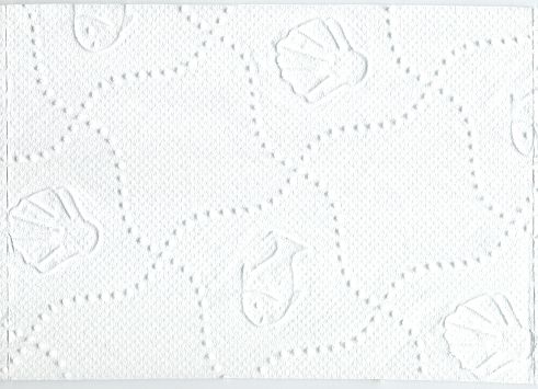 Ein Blatt dieses Papiers