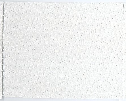 Ein Blatt dieses Papiers