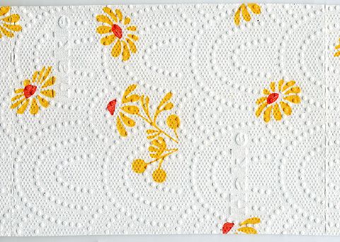 Ein Blatt dieses Papiers