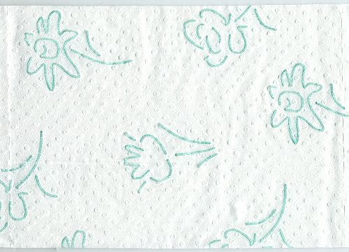Ein Blatt dieses Papiers