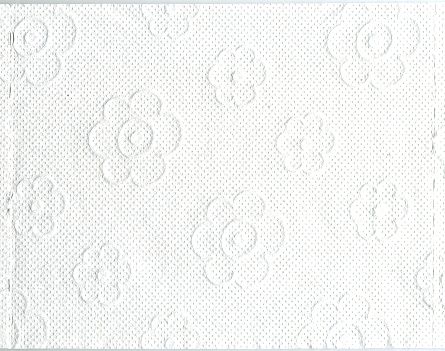Ein Blatt dieses Papiers