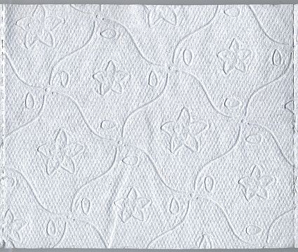 Ein Blatt dieses Papiers