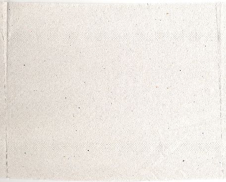 Ein Blatt dieses Papiers